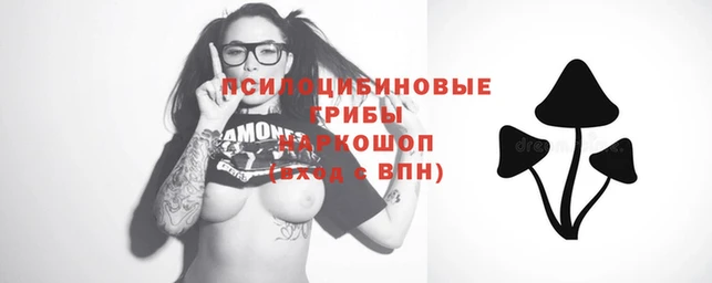 прущий лед Алзамай