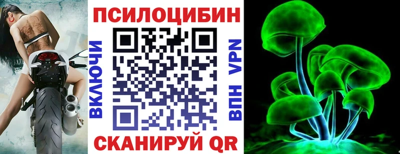 Галлюциногенные грибы Psilocybe  Конаково 